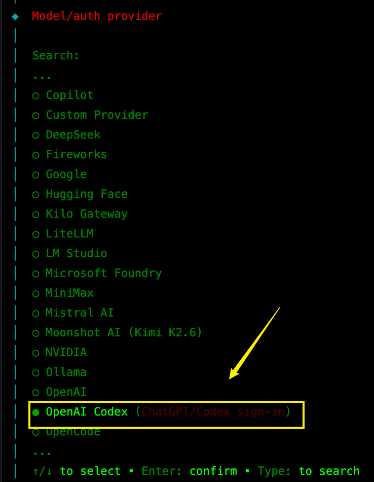 选择 OpenAI Codex ChatGPT OAuth
