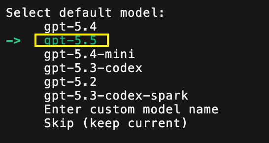 Hermes setup 中的 GPT 模型